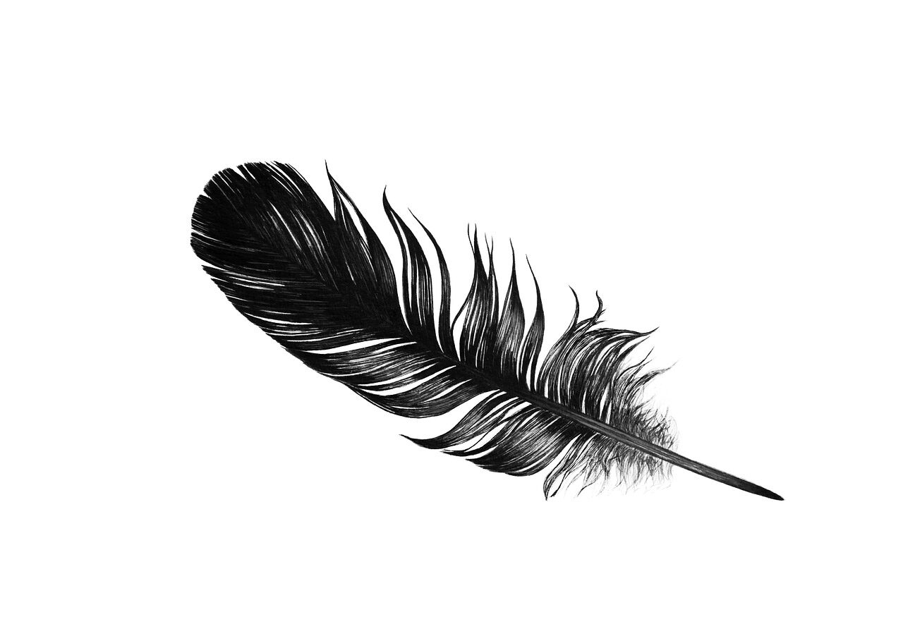 black, feather, mysterious-4567519.jpg